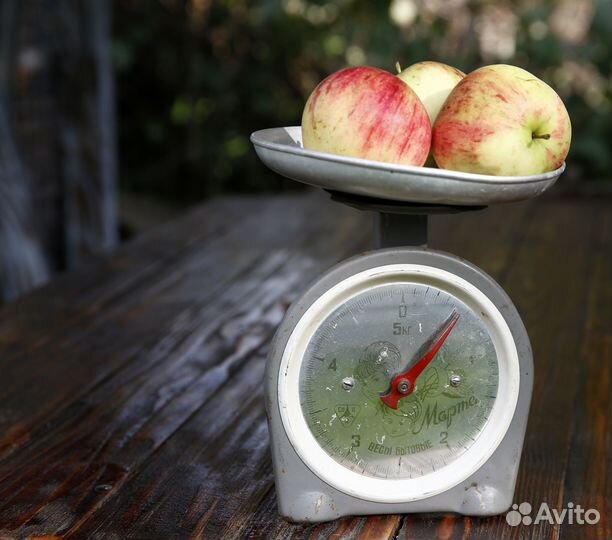 Весы бытовые СССР 8 марта 5 кг