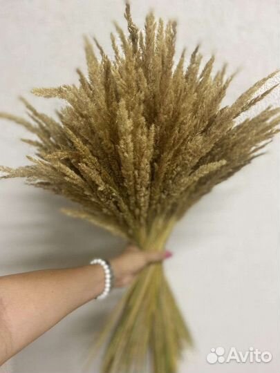 Букет из сухоцветов