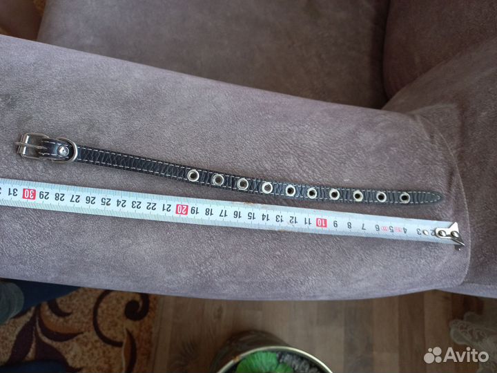 Ошейник для мелких пород собак