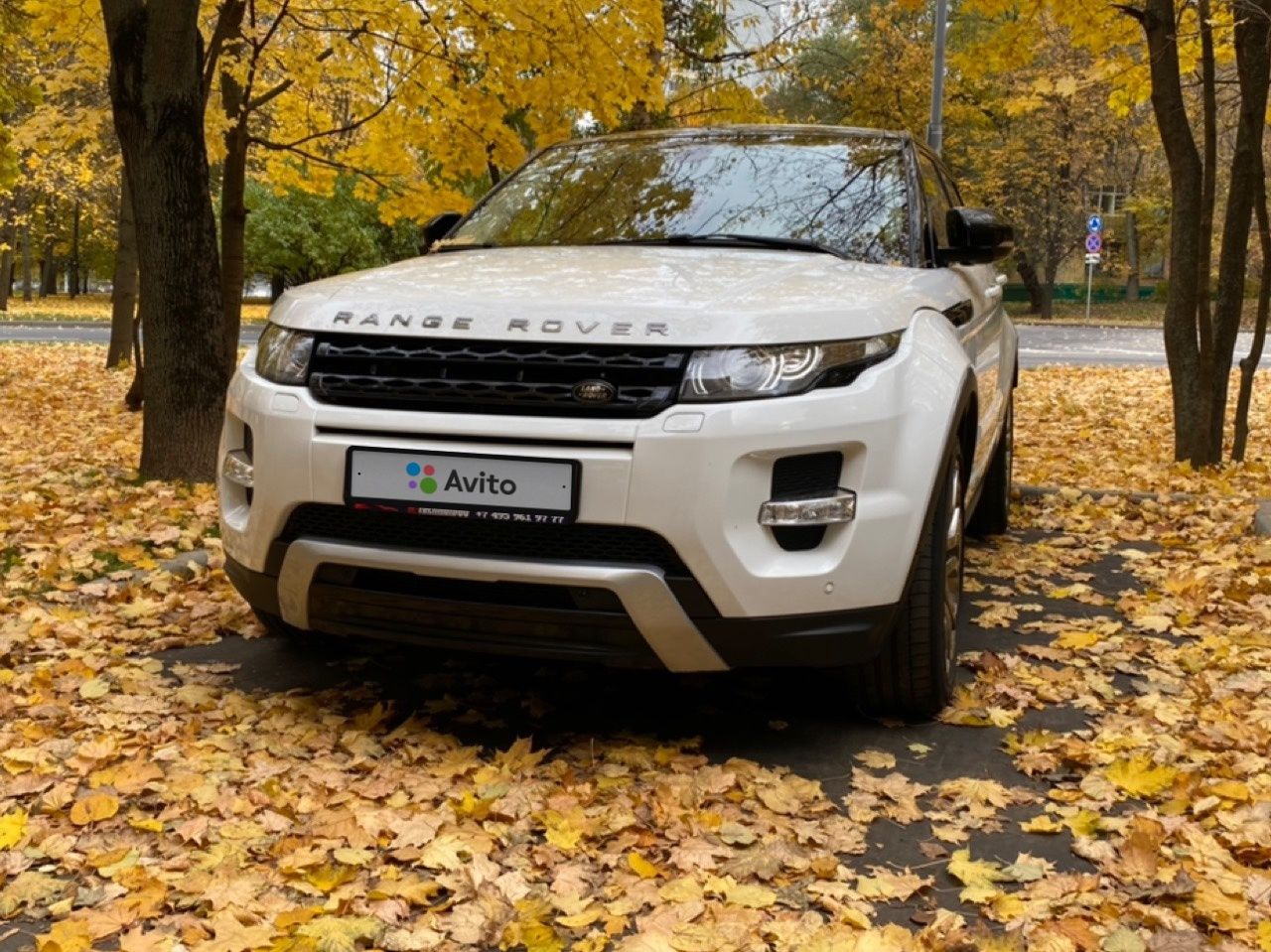 Land Rover Range Rover Evoque: фото владельца