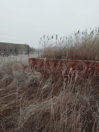 Участок 6 сот. (ИЖС)