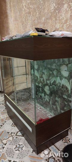 Террариум большой