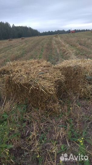 Солома в тюках