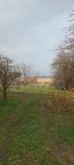 Участок 15,6 сот. (ИЖС)