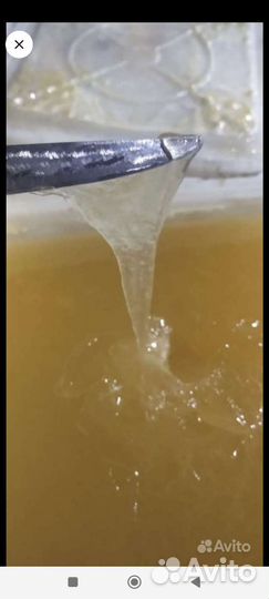 Мед из Башкирии,Липовый, Гречишный, Разнотравие