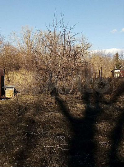 Участок 7 сот. (СНТ, ДНП)