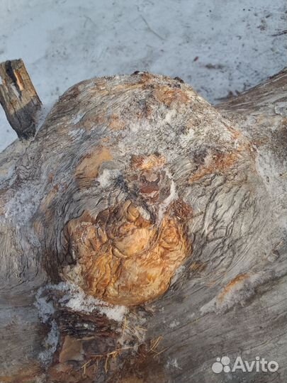 Пиломатериалы брус доска лес