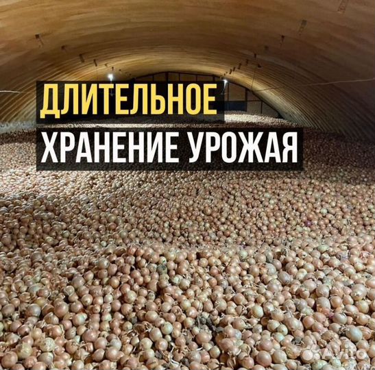 Вентиляционное оборудование для лука