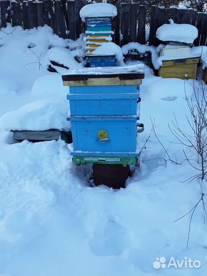 Продам ульи для пчел