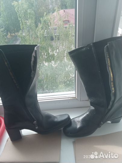 Сапоги женские