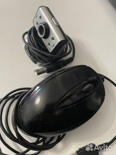 Мышь и веб-камера