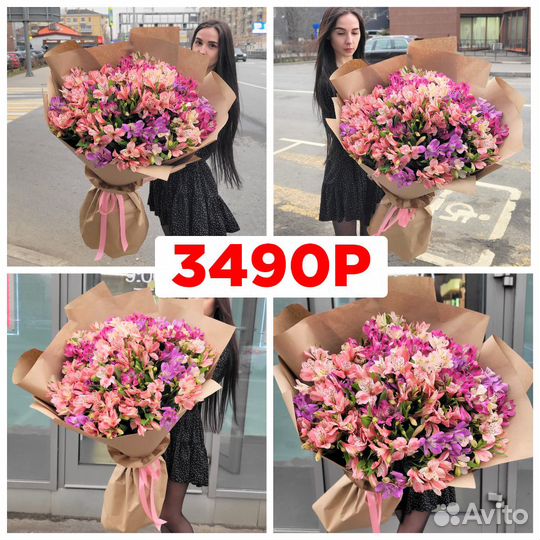 Большой Букет из Альстромерий. Свежие Цветы