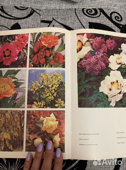 Книга «Цветы»