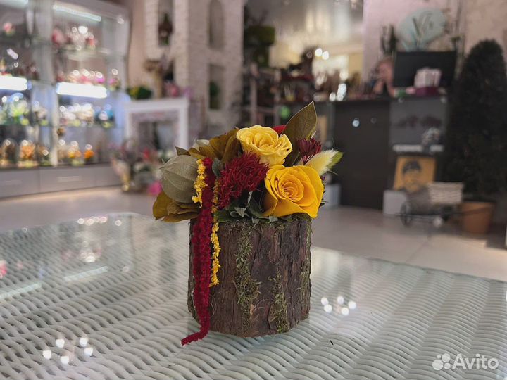 Композиция в древесной коре Стабилизированные цвет