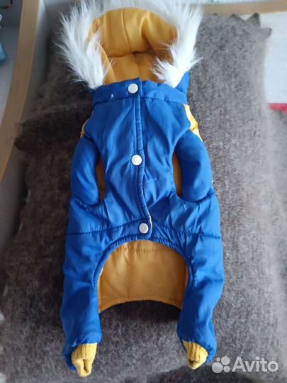 Одежда для щенков