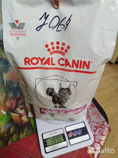 Корм для кошек royal canin renal