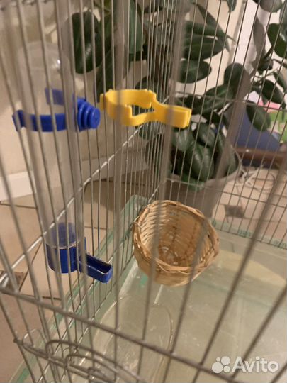 Клетка для птиц