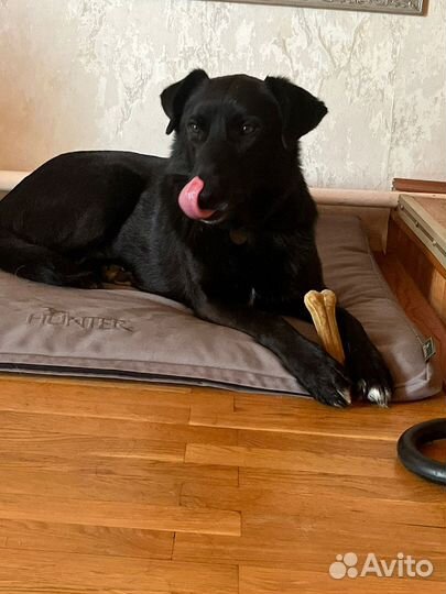 Мартюшечка ищет родителей