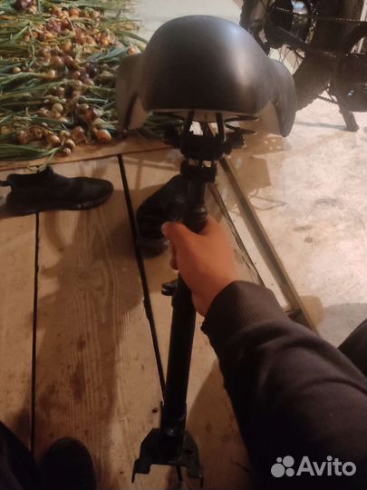Сидень на кого m 4