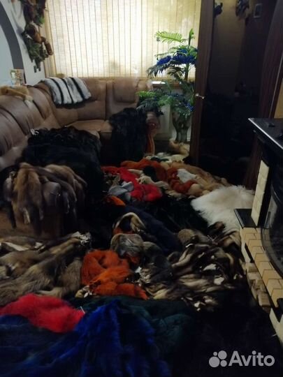 Мех Лиса крашеная