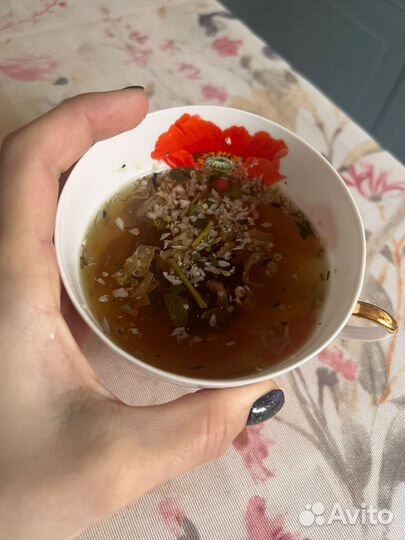 Горные травы, домики для проживания в Мезмае