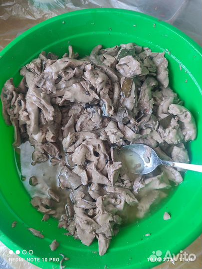 Печень минтая натуральная