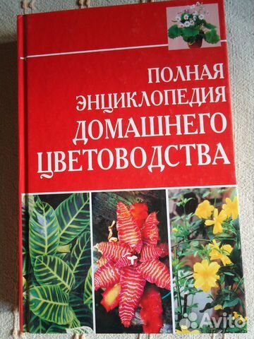 Цветоводство,Свадьба,Этикет
