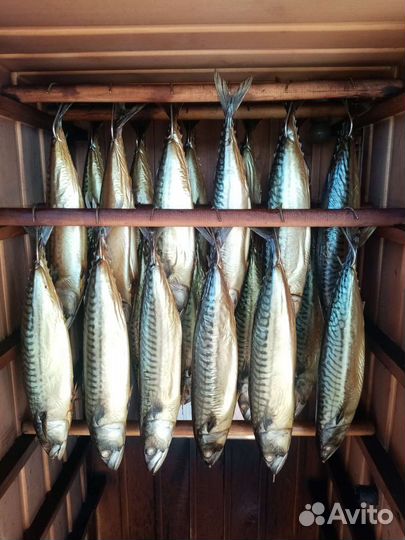 Рыба холодного, горячего копчения