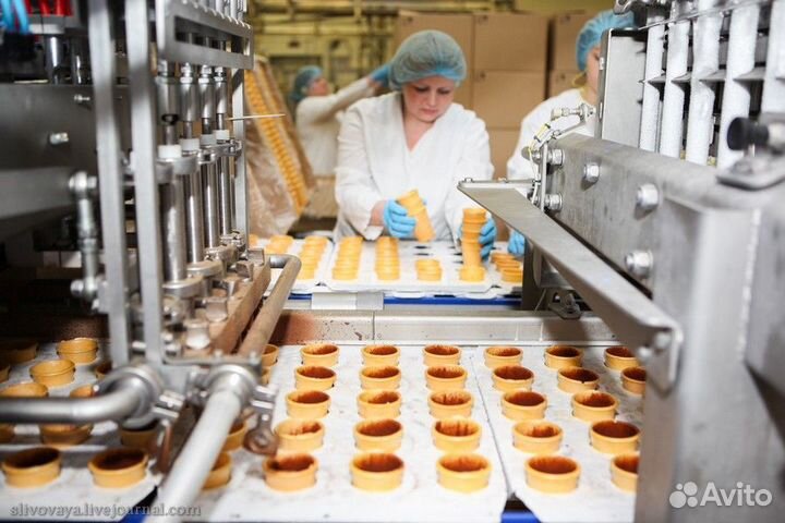 Вахта/ Фасовщик на фабрику мороженого