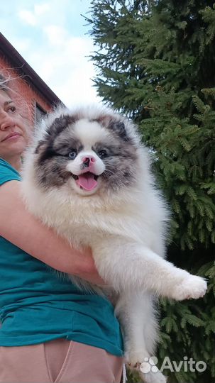 Мальчик красавчик