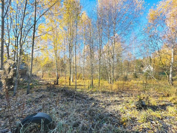 Участок 11,5 сот. (ИЖС)