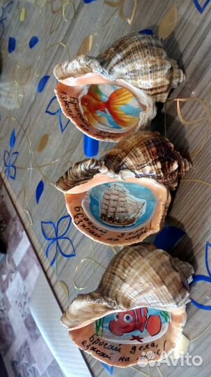 Сувенирный рапан