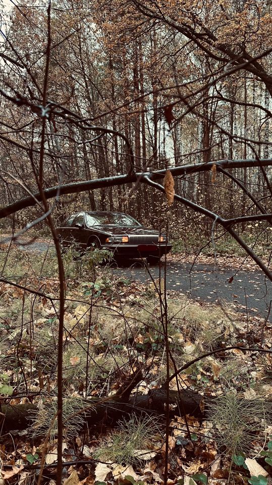 Chevrolet Caprice: фото из отзыва