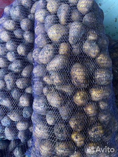 Картофель с доставкой