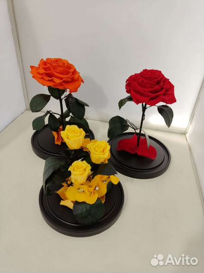 Роза в колбе