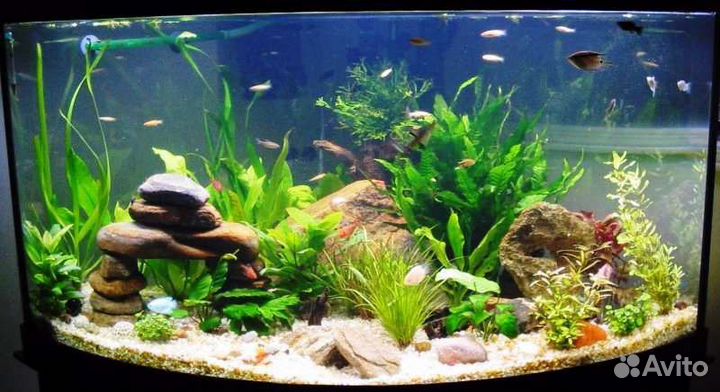 Чистка аквариума