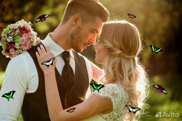 Салют из Живых Тропических Бабочек с/б-21