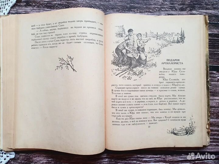 Фарутин. Лесные поляны 1957 г