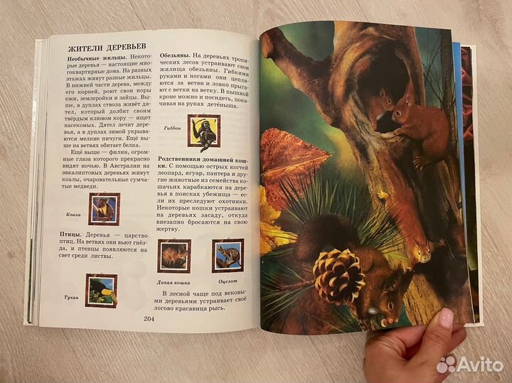 Большая книга обо всём на свете