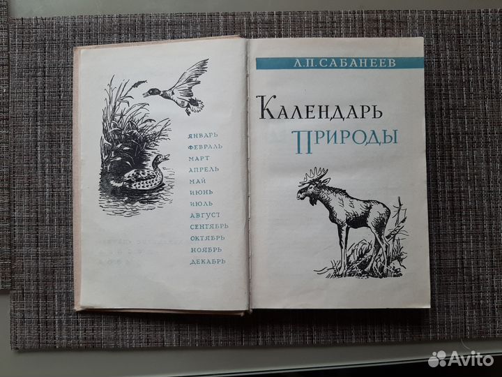 По Охоте. Календарь природы А.П. Сабанеев 1964 г