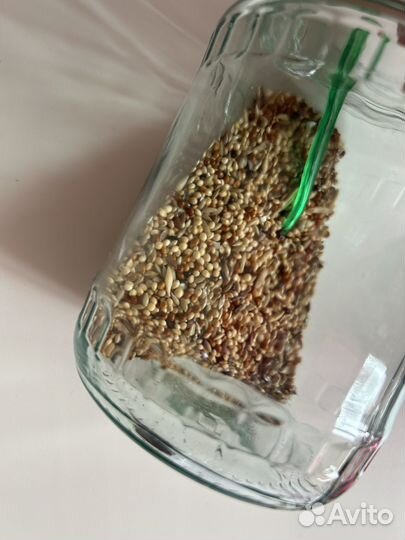 Копошилка для попугаев