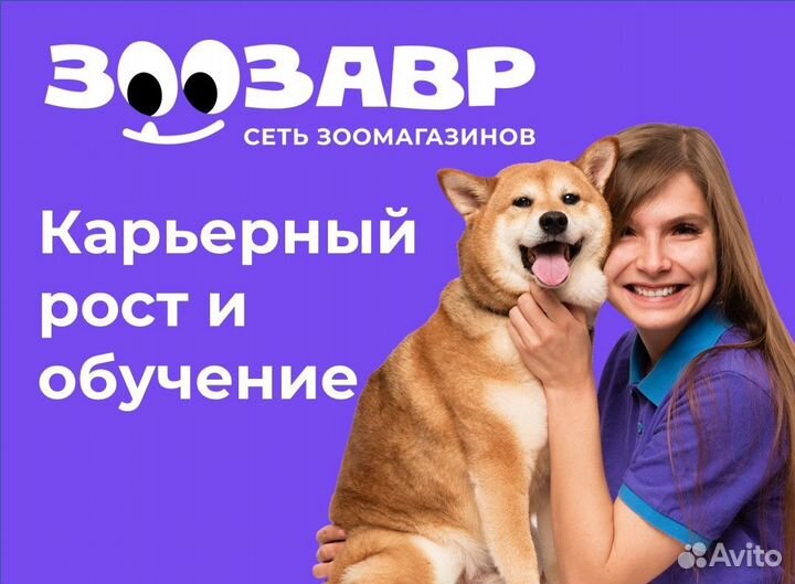 Продавец-кассир в зоозавр (г.Тула)