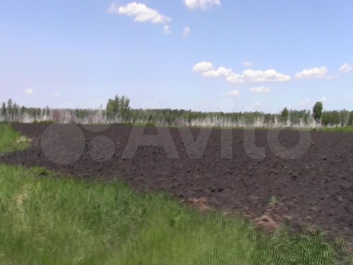 Участок 50 га (СНТ, ДНП)