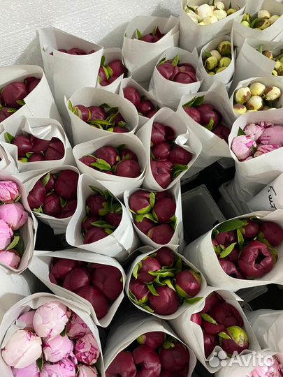 Букет цветов пионы цветы пион