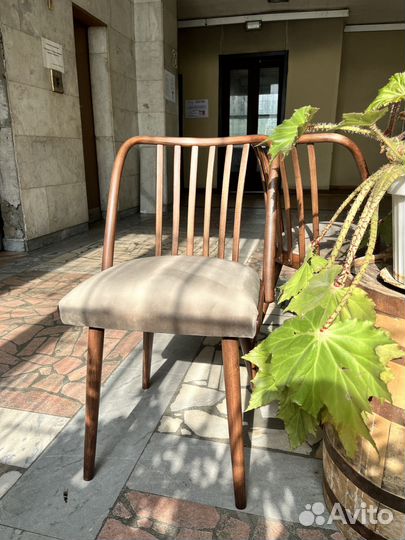 Винтажные стулья Антонин Шуман