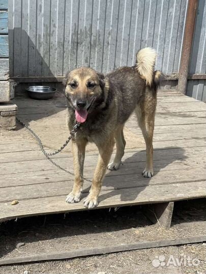 Ее очень жалко