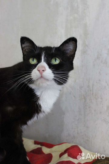 Киса Кузьминишна