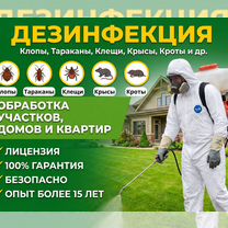 Дезинфекция Дезинсекция Дератизация Опыт более 10 лет, Апрелевка