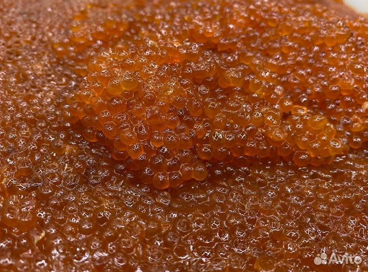 Красная икра. Опт