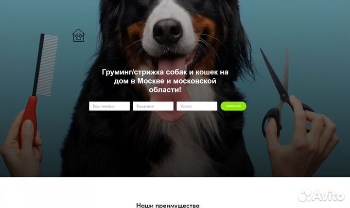Заказать сайт